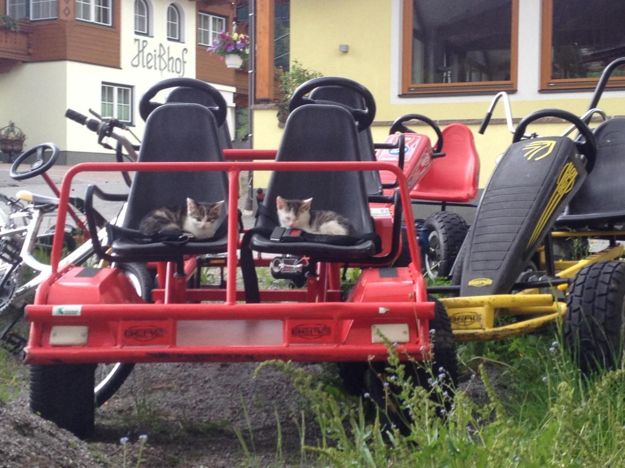Heisshof Hotel Schladming Bagian luar foto